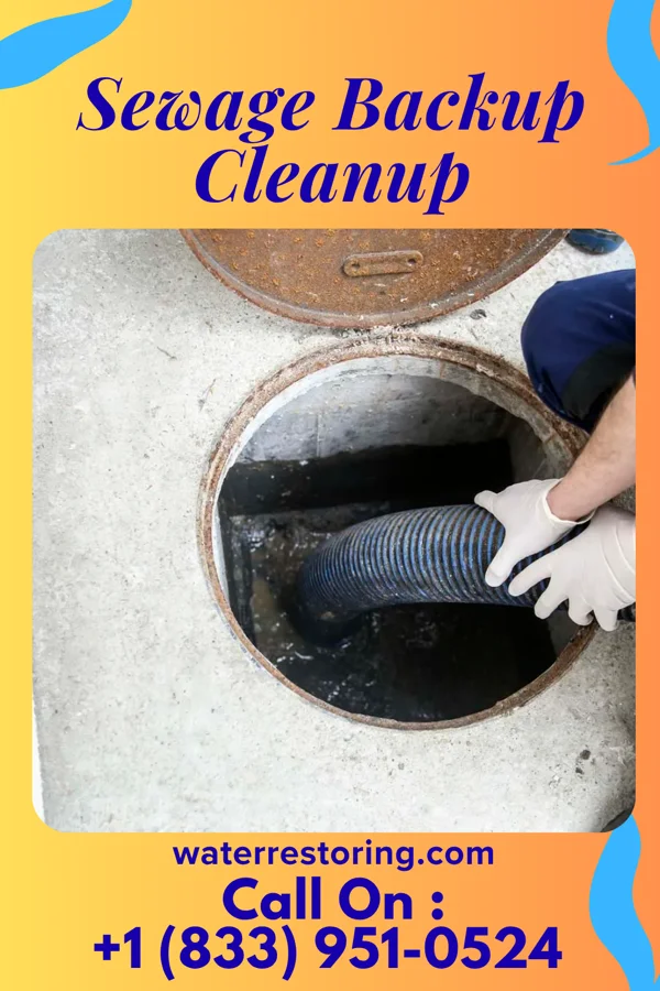Sewage Backup Cleanup in Braceville, IL