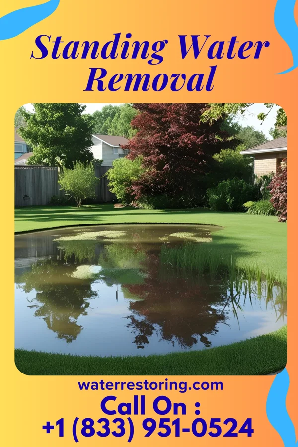 Standing Water Removal in Braceville, IL